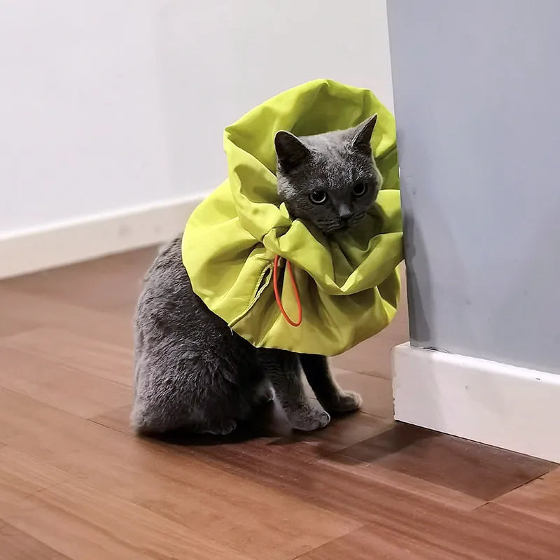 Adjustable cat recovery cone collar in light blue with elastic buckle for small dogs and cats