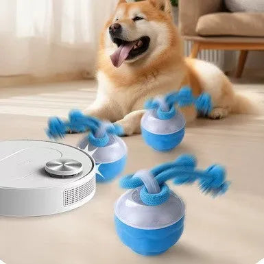 Electric rolling dog ball in bite-resistant plastic, shown in orange bird calling and blue regular styles