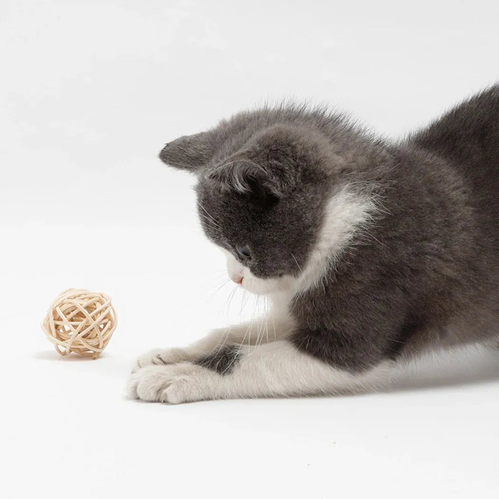 Primary colour cat toy set showing a rattan ball and a faux feather ball with bell.
