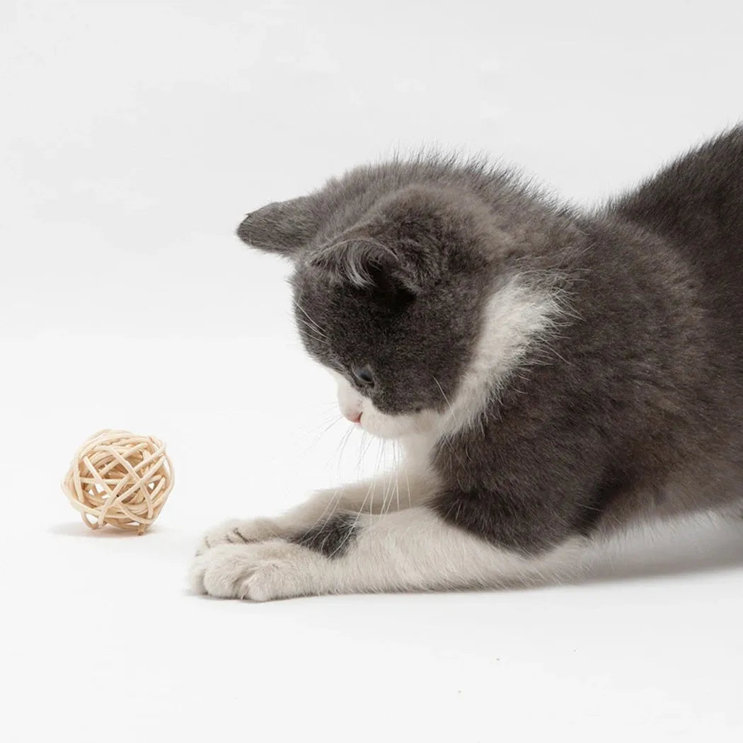 Primary colour cat toy set showing a rattan ball and a faux feather ball with bell.