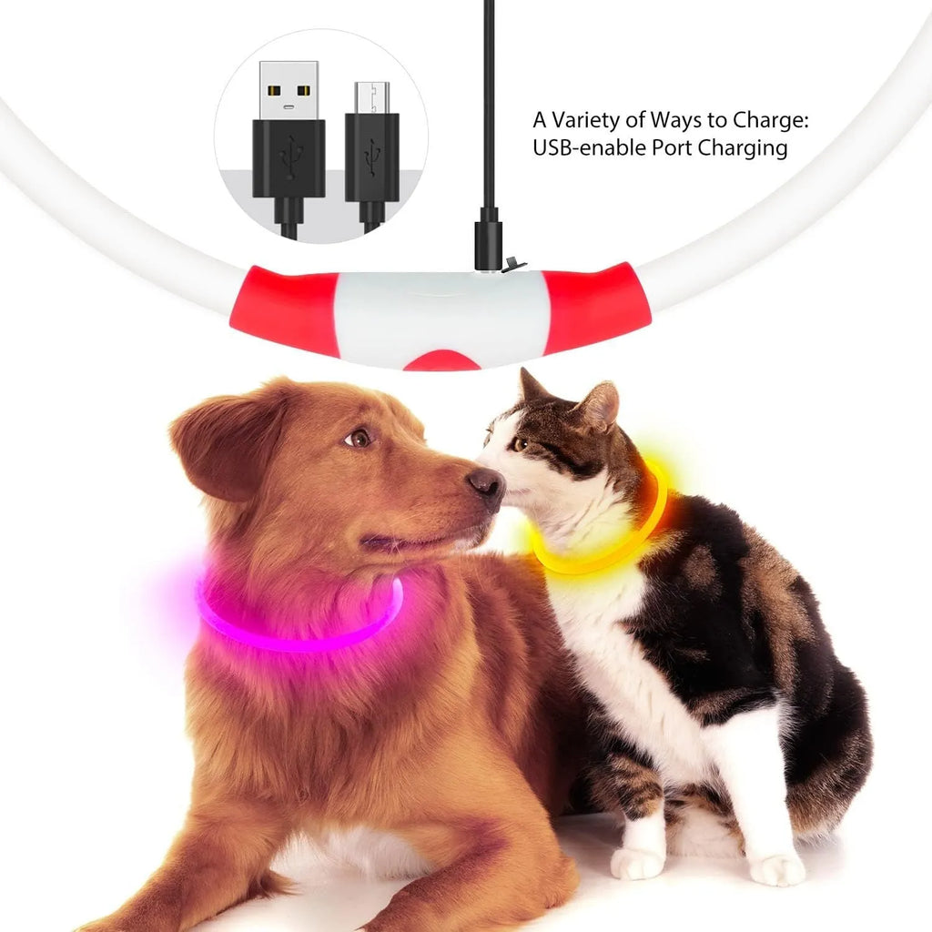 LED glowing dog collar with USB charging port and adjustable 70cm length