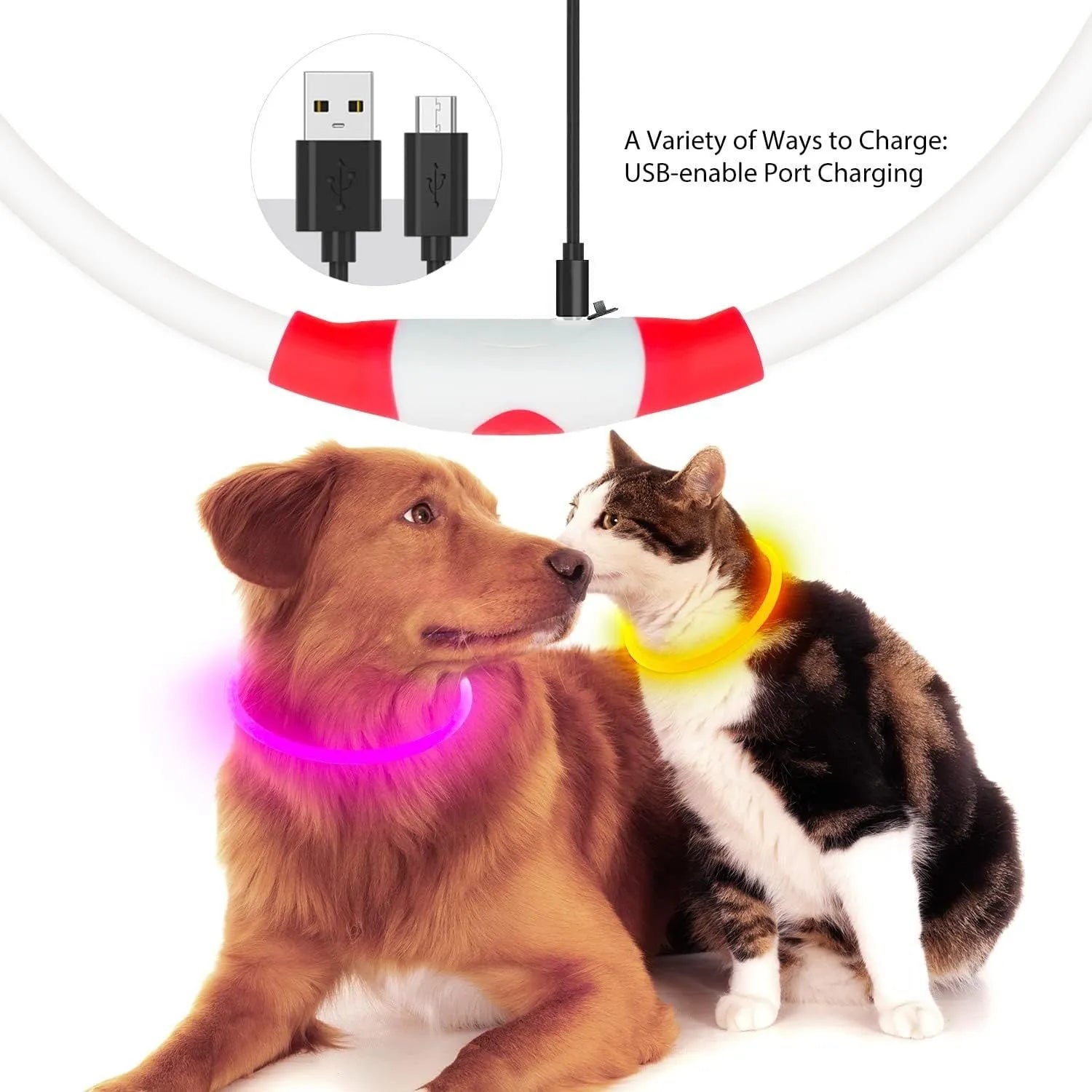 LED glowing dog collar with USB charging port and adjustable 70cm length
