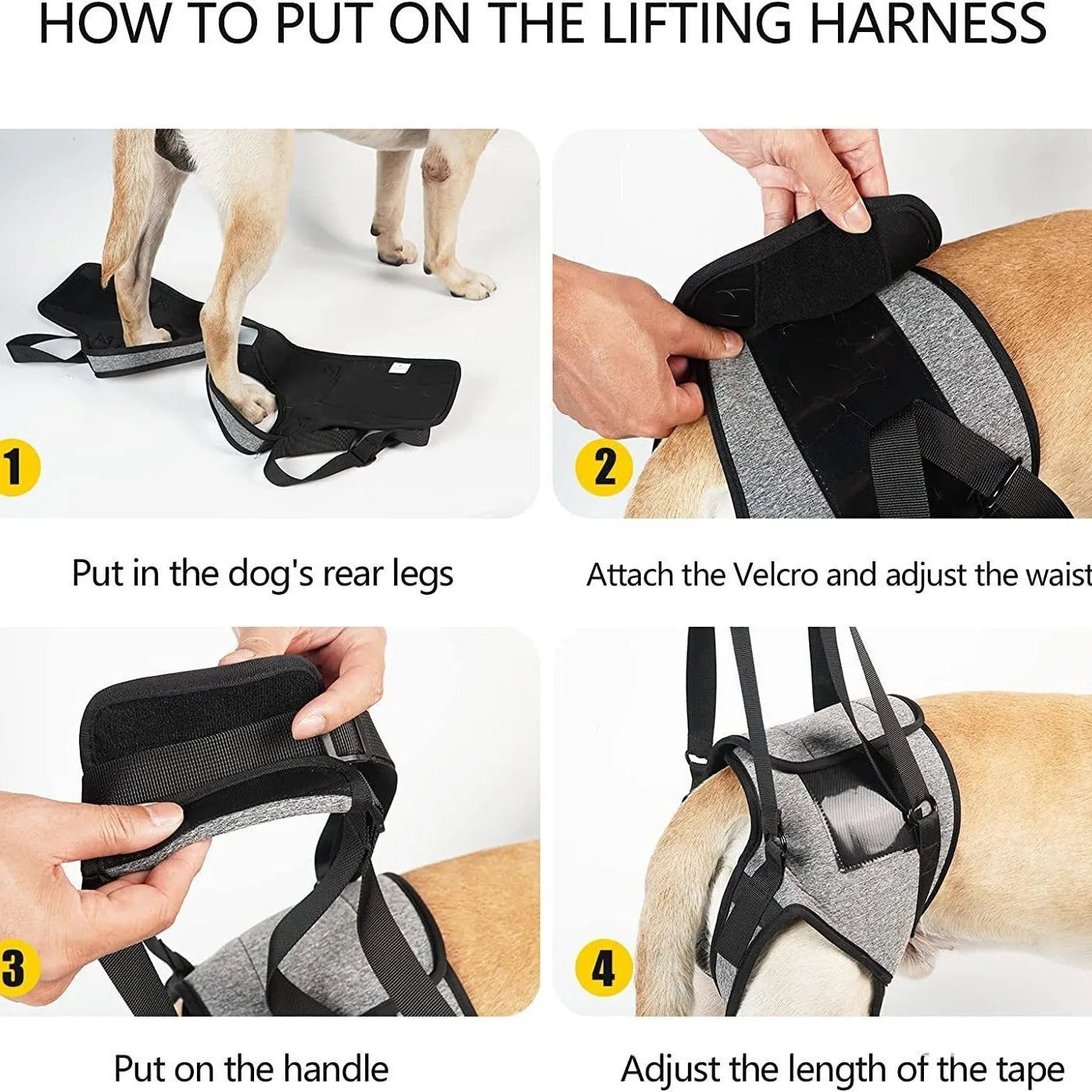 Grey neoprene dog rear leg support harness showing adjustable waist and thigh straps on a size chart.