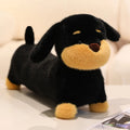 Cute plush sausage dog toy in brown European mink velvet on a light background
