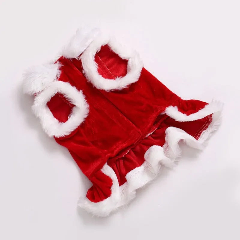 Red polyester transformation pet clothes for teddy and bichon in European and American style