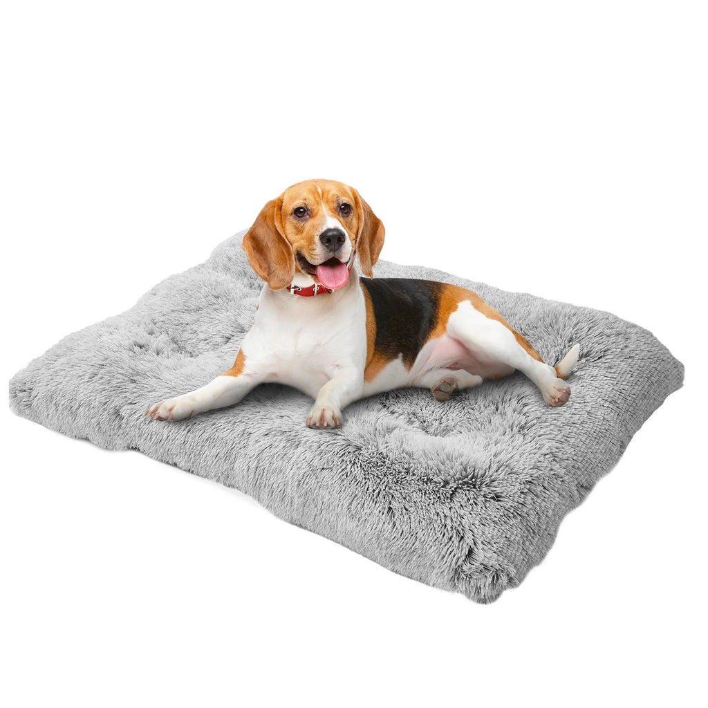 Washable long plush dog bed mat in four sizes for sofa, kennel, and floor use