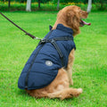 Waterproof dog hooded coat for small dogs in winter, with reflective trim and zipper, on a Chihuahua