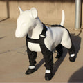 Black waterproof dog shoes with non-slip soles and adjustable strap in six sizes from XS to XXL