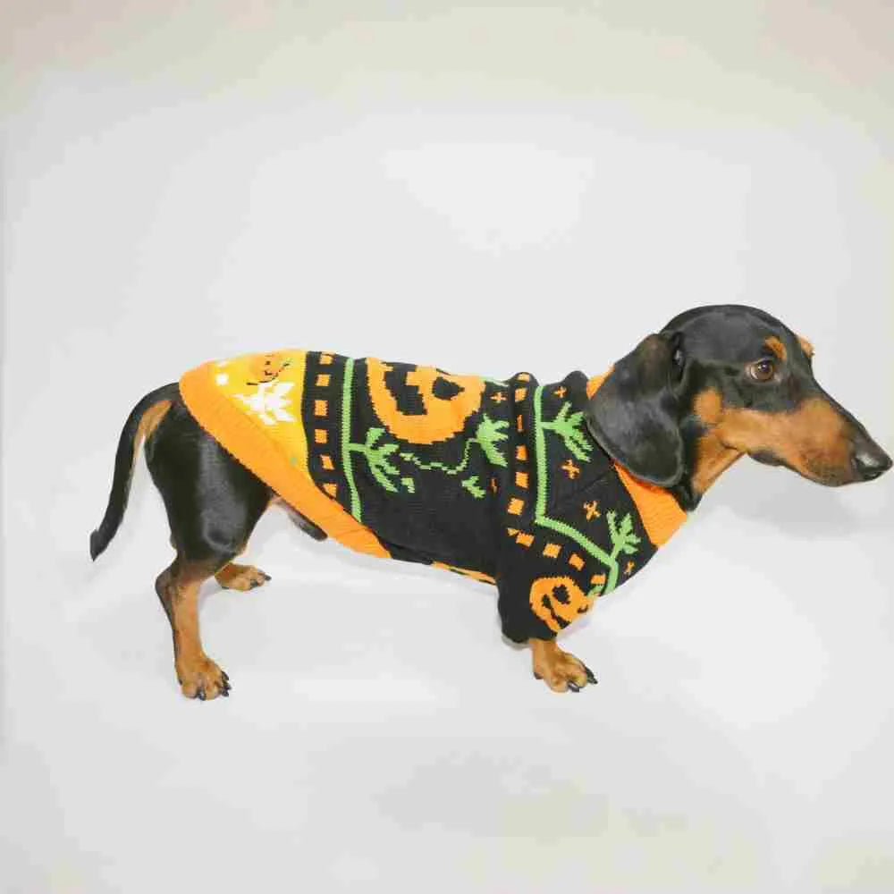 Pumpkin Halloween sweater for dogs and cats, polyester, sizes XS to XL, on a pet