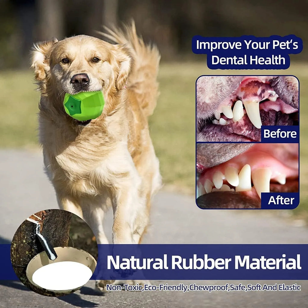 Green natural rubber squeaky dog chew toy ball for large breed aggressive chewers.