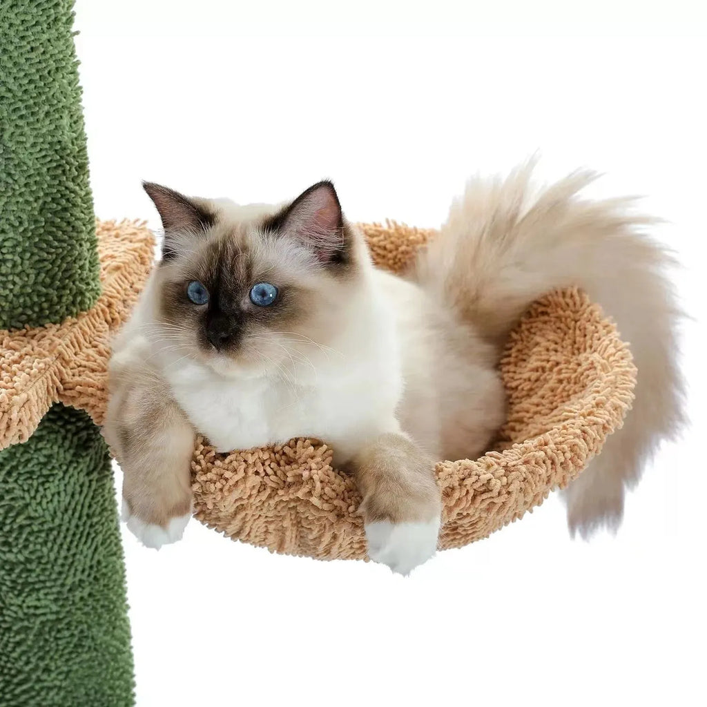 Solid wood cat climbing frame with integrated scratch board and toy measuring TT 40x25x240-260cm