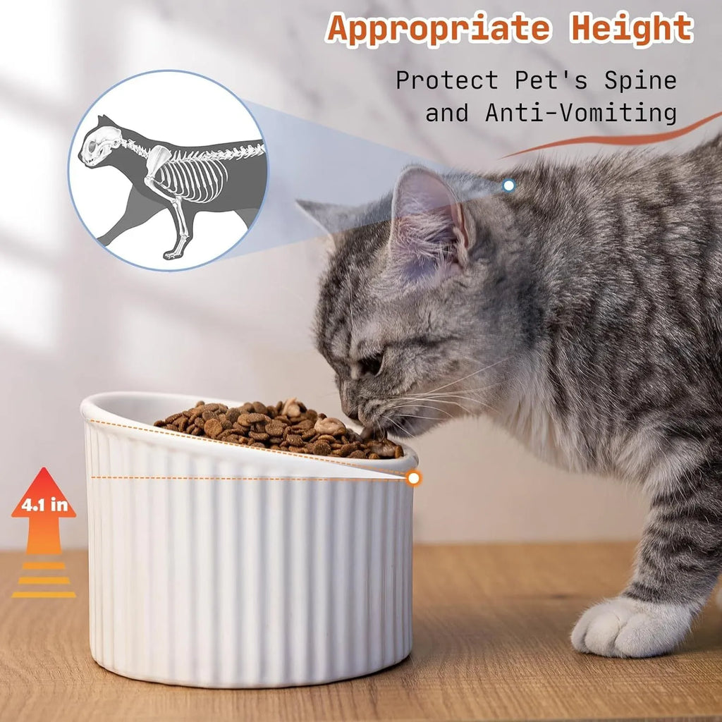 A dark green elevated ceramic cat bowl with a tilted, round design on a wooden surface.