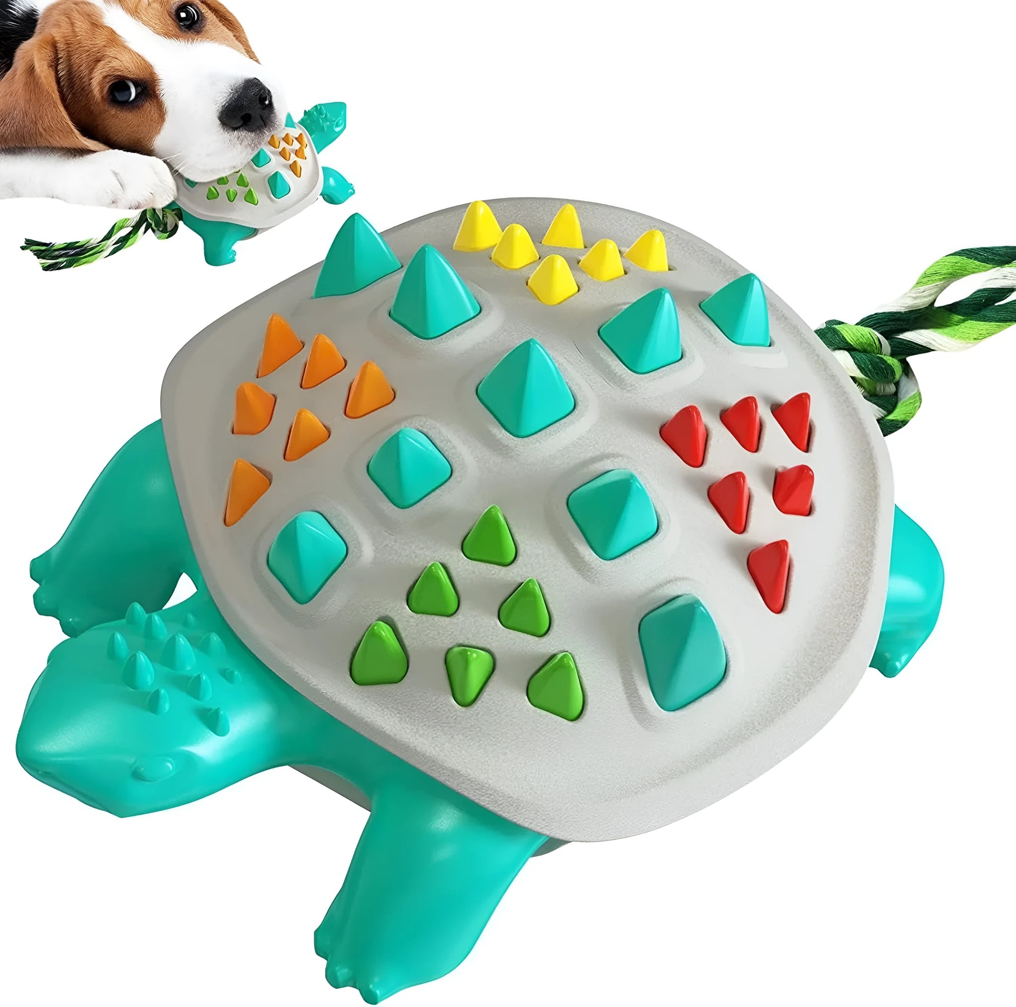 Natural rubber dog toothbrush chew toy with dinosaur knot tail in assorted colour options for dental care and tug-of-war play.
