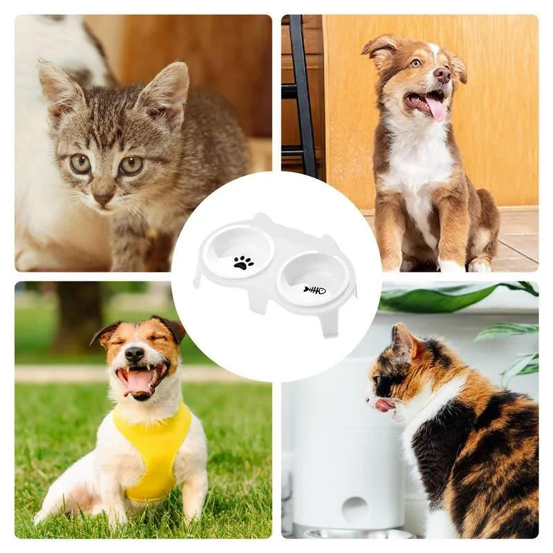 Ceramic cat bowl set with elevated tilted feeding stand in blue, pink, white, and yellow colour options