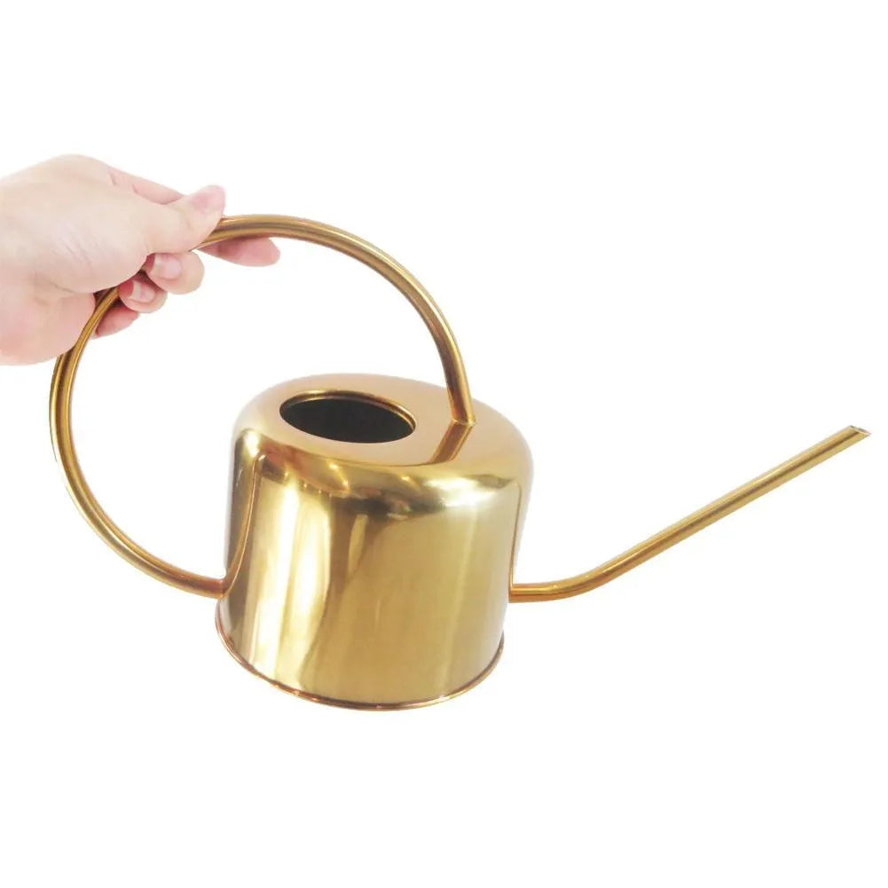 Stainless steel 2-litre watering can with long spout for garden plant watering