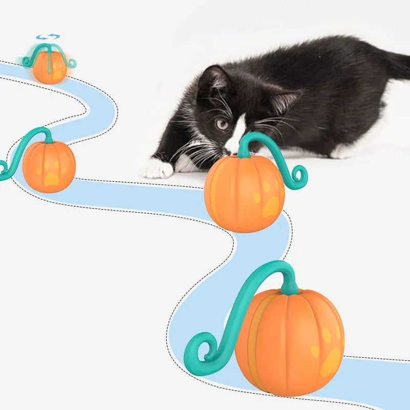 Electric cat toy ball with LED lights in watermelon design for indoor pet play