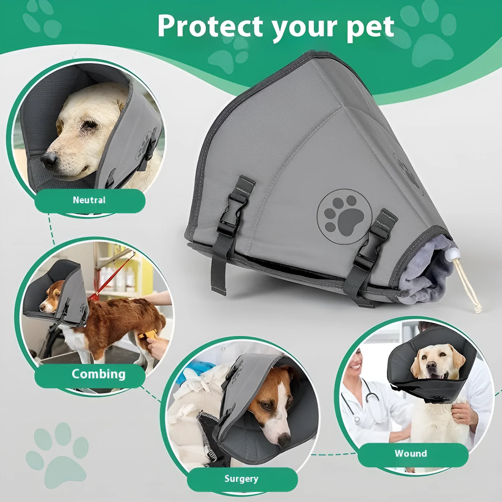Adjustable polyester pet sterilization collar in small, medium, and large sizes