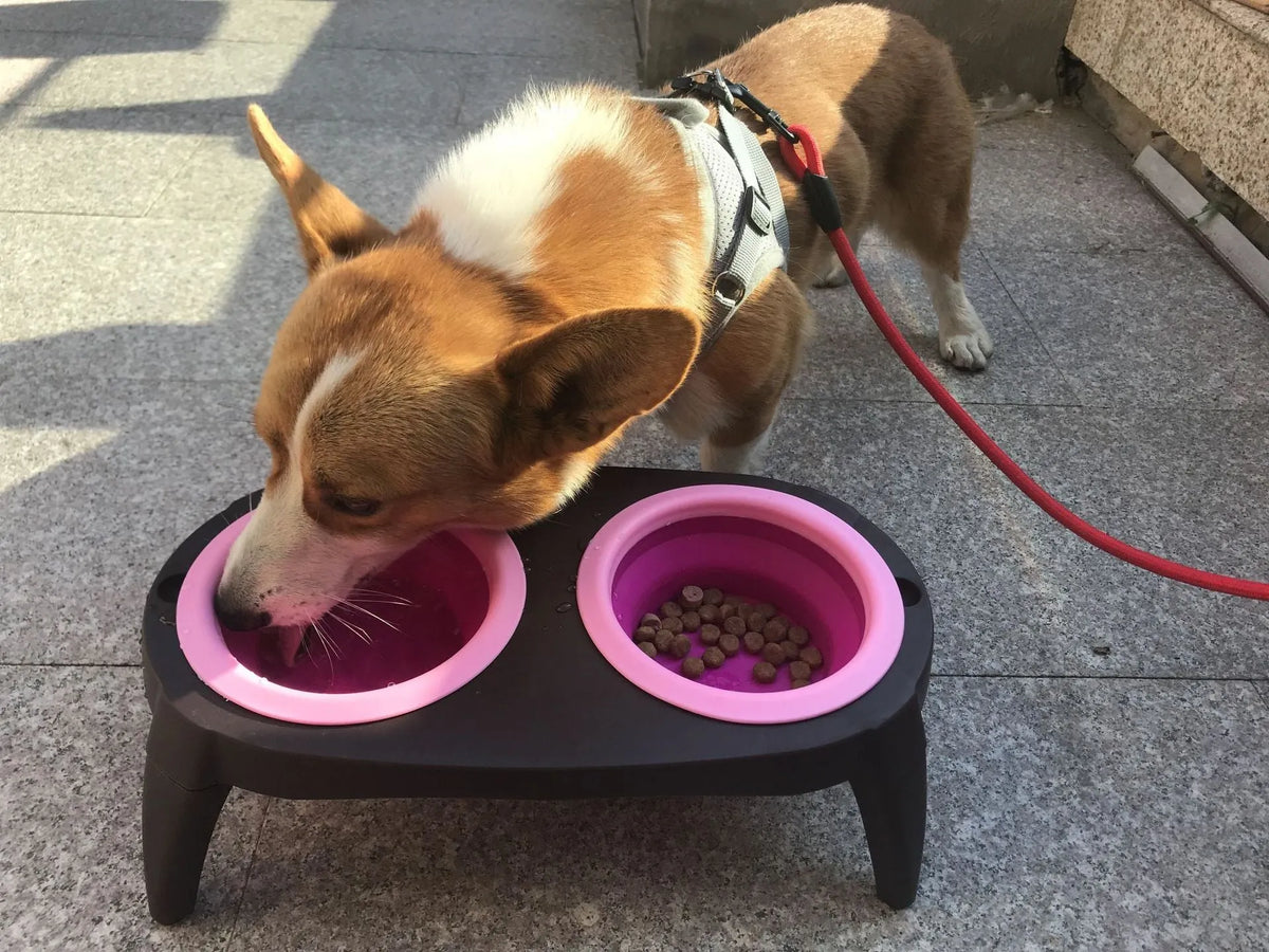 Folding pet double bowl in grey collapsed flat showing PP and TPR construction with two compartments