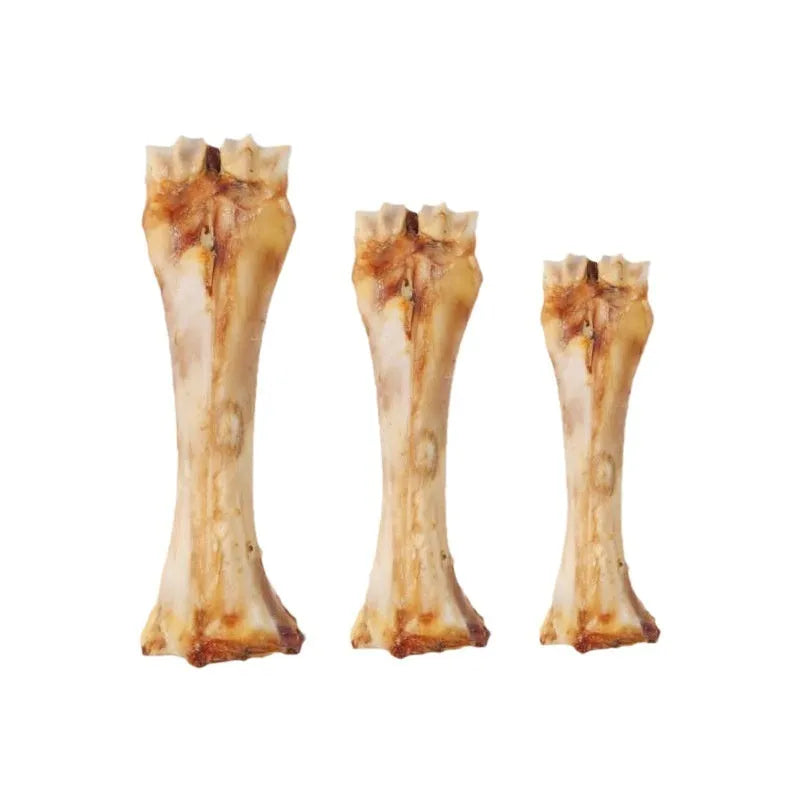 Calcium supplement molar rod dental chew toy for puppies in three sizes with roasted ox bone flavour