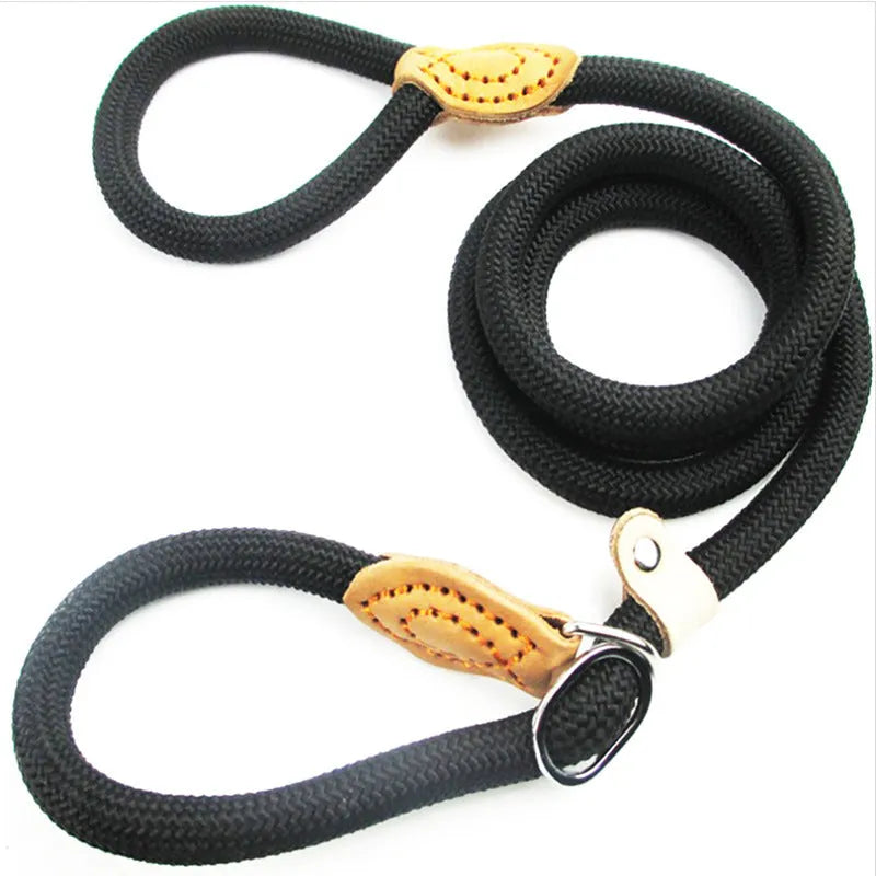 Brown nylon dog leash with P chain attachment measuring 2.1 metres in length
