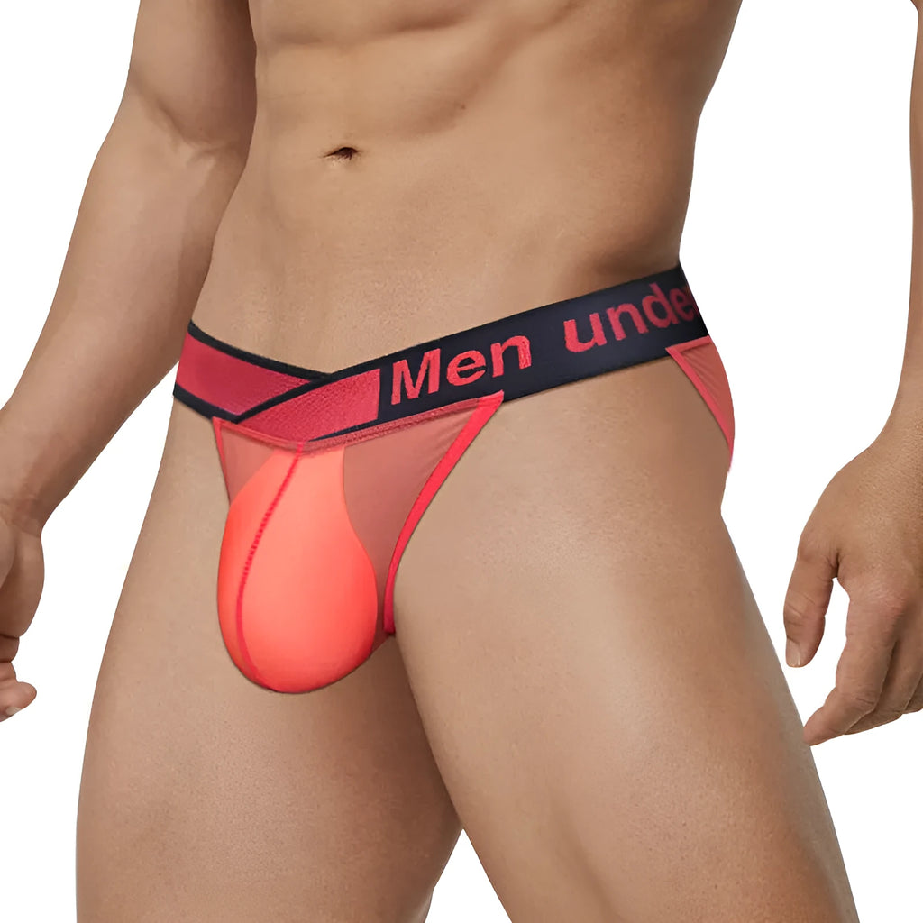 Men's transparent ice silk nylon briefs with large V gradient high fork design in black colour