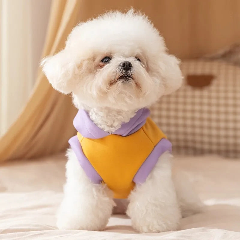 Blue Korean dog hoodie with cartoon little bear design for small medium pets