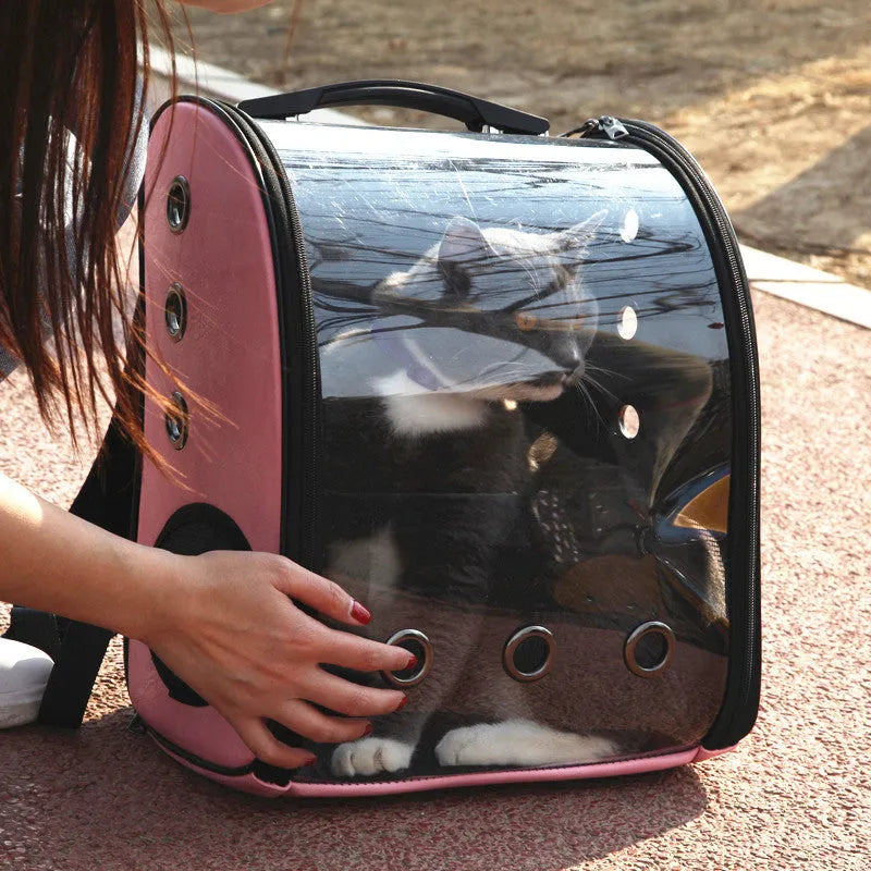 Folding transparent pet backpack for cats and small dogs in black, blue, pink, and red