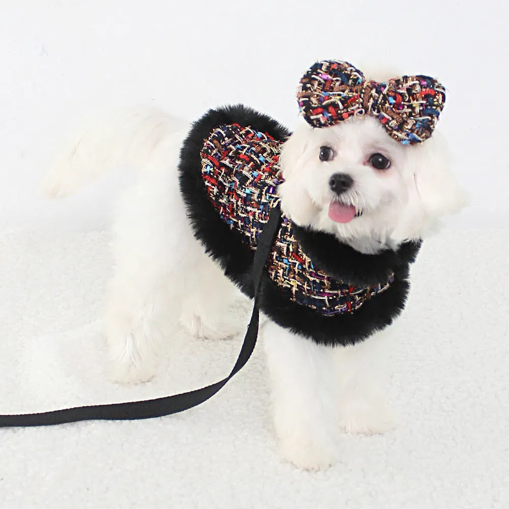 Small dog wearing fabric cape with matching beret, attached to chest strap and lead