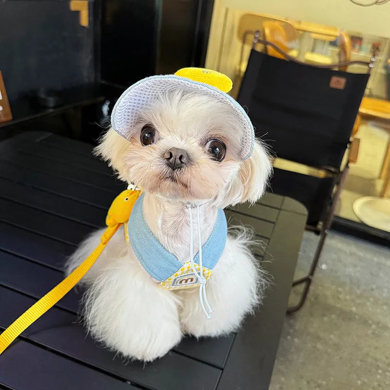 Three-piece summer cat clothes set with harness, leash, hat and rope accessories for outdoor pet safety
