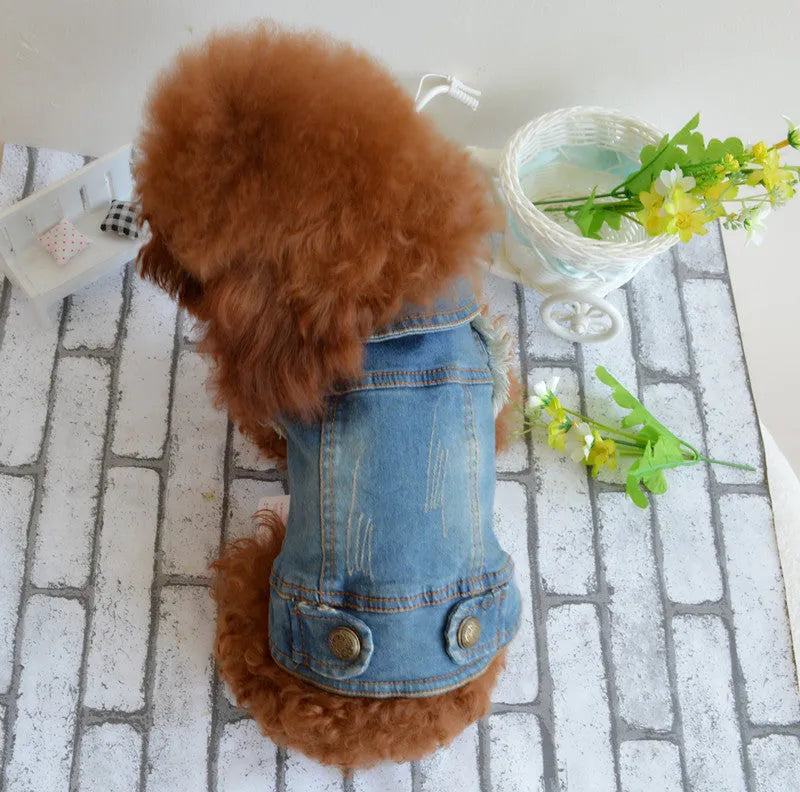 Denim dog vest with retro scratch pattern for autumn and winter pet clothing