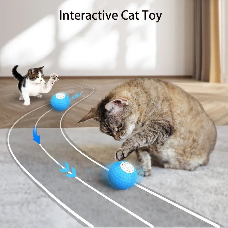 Remote control cat toy ball with LED lights in blue, green and yellow colour options