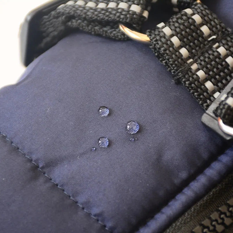 Waterproof dog hooded coat for small dogs in winter, with reflective trim and zipper, on a Chihuahua