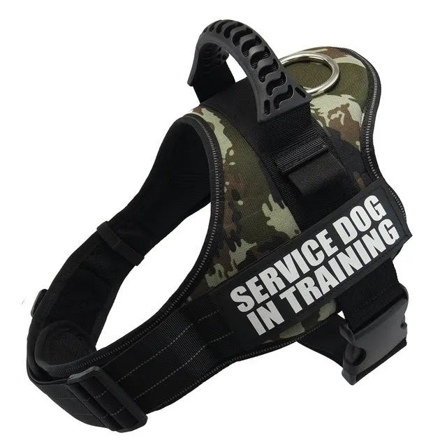 Adjustable reflective dog harness in blue with a handle and chest strap on a dog