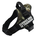 Adjustable reflective dog harness in blue with a handle and chest strap on a dog