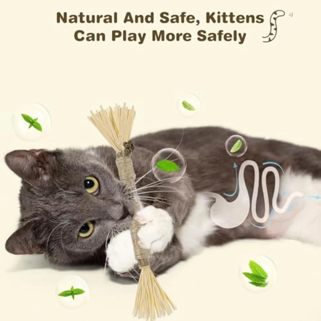 Natural silvervine chew sticks for cats in two diameter options for dental care and play