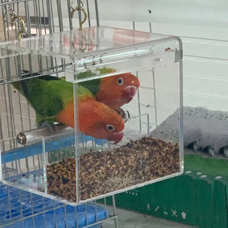 Clear acrylic bird feeder food box for parrots, available in small, medium, and large cube sizes.