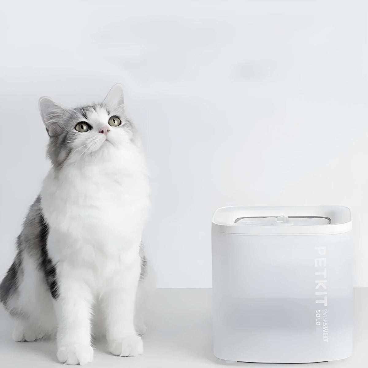 Xiaopei SOLO2 smart pet water dispenser with wireless loop filter for dogs and cats.