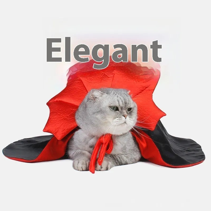 Black and red Halloween costume for cat or dog with European and American styling