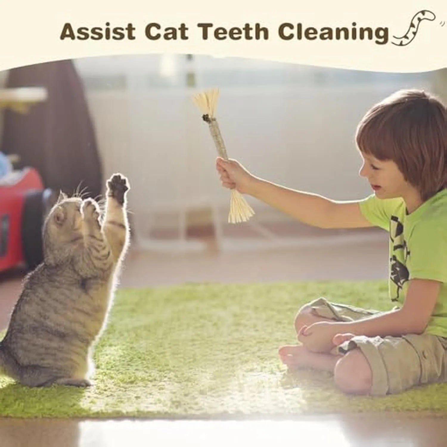 Natural silvervine chew sticks for cats in two diameter options for dental care and play