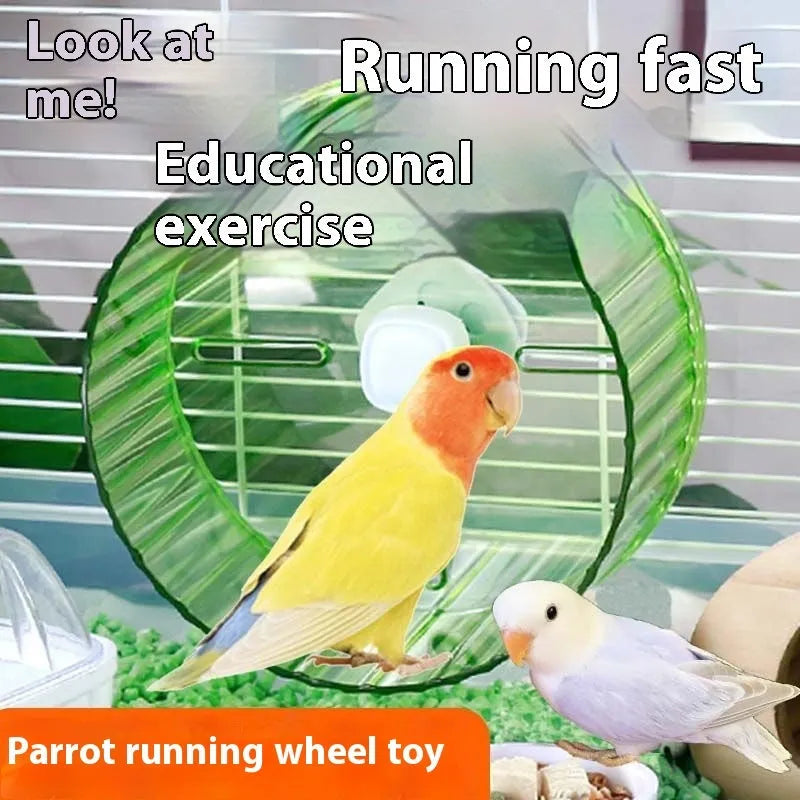 21cm plastic bird running wheel toy in transparent, green, grey, orange, or purple colours for parrot exercise