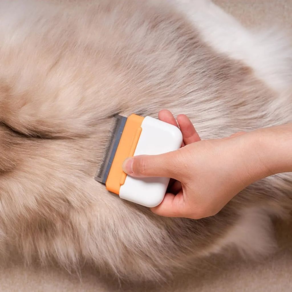 Blue double-sided pet grooming comb with stainless steel teeth on a wooden surface