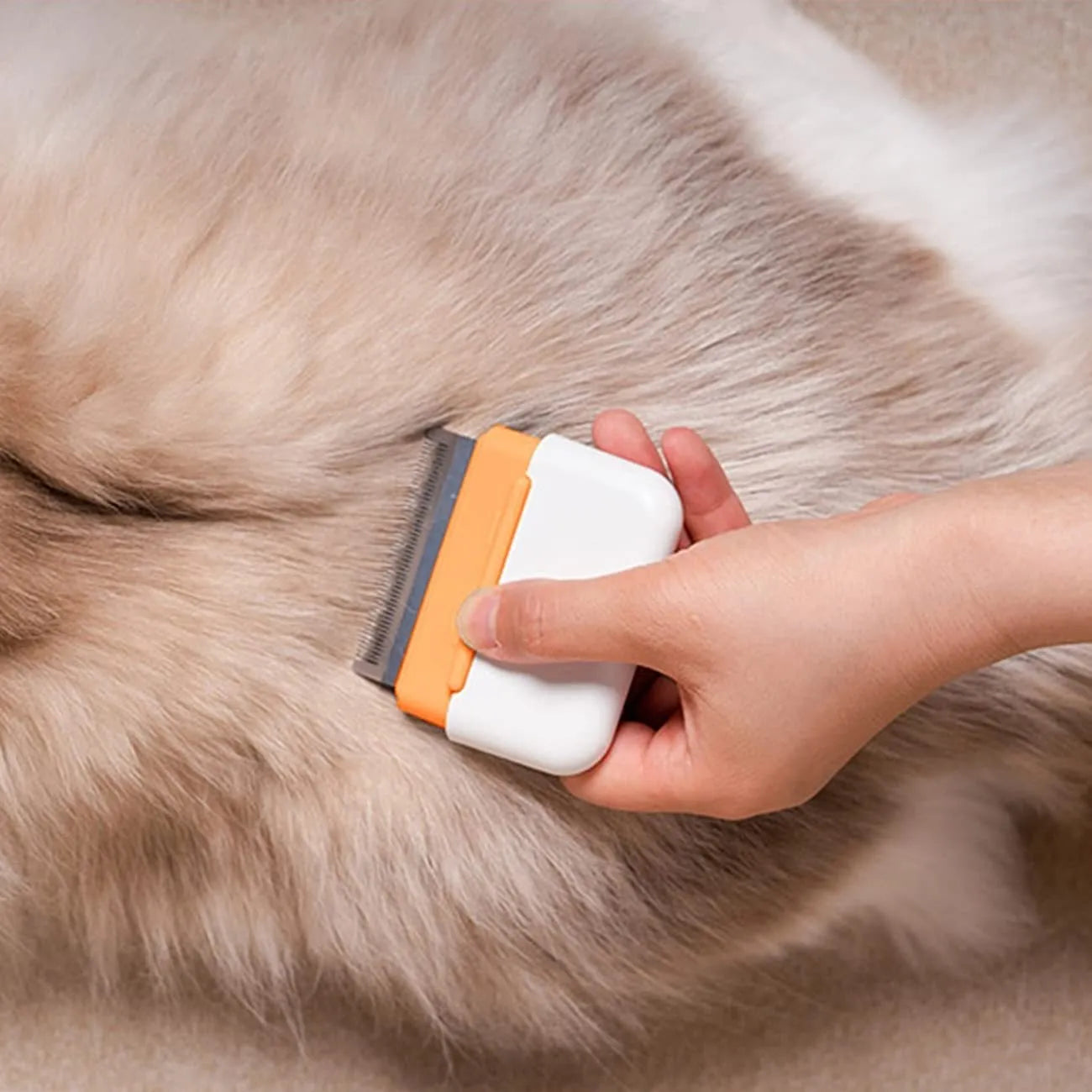 Blue double-sided pet grooming comb with stainless steel teeth on a wooden surface