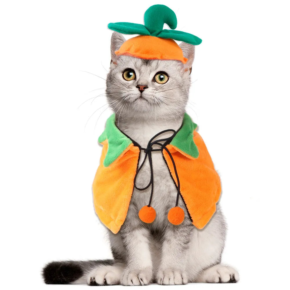 Plush Halloween pumpkin cloak for dogs or cats with optional hat in sizes S, M, L