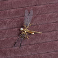 Golden dragonfly side clip headdress with electroplated alloy construction