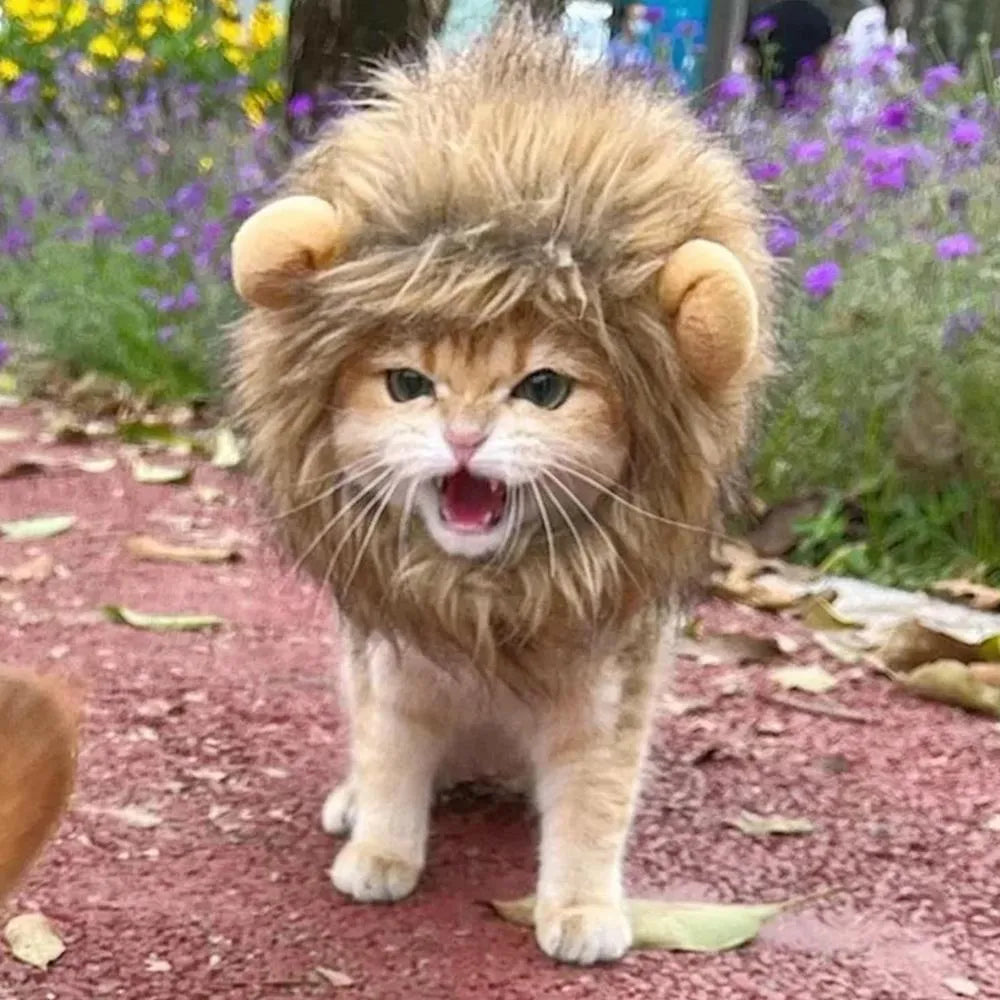 Lion mane wig for cats on a pet, showing fluffy artificial hair and plush ears with an adjustable band.