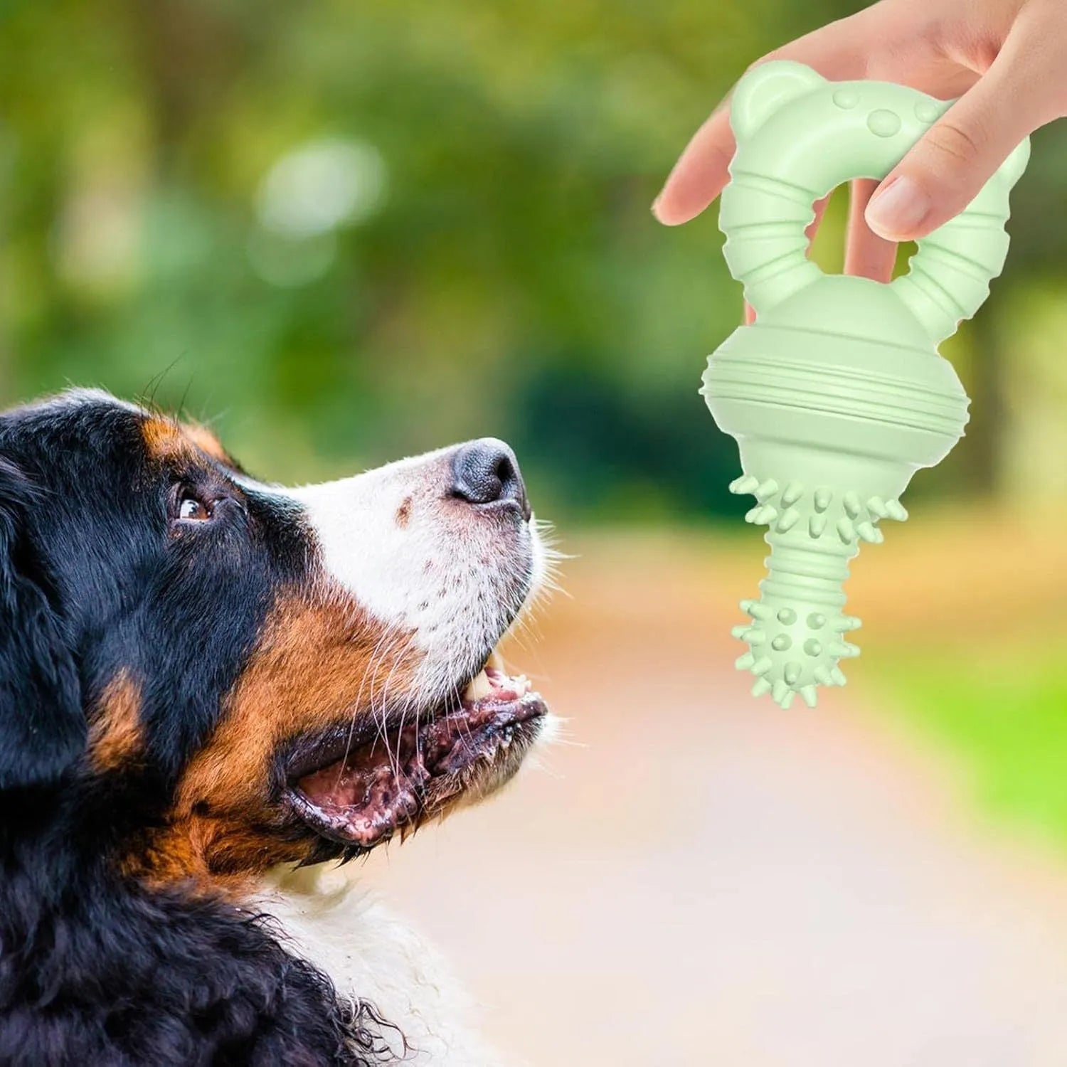 Blue rubber dog chew toy with textured surface and bell for teeth cleaning