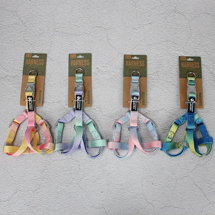 Nylon dog leash set showing gradient colour patterns in pink and yellow combination with adjustable sizing