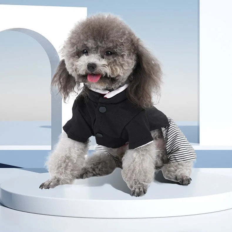 Lightweight cotton dog clothes in skirt and four-legged pants designs for seasonal pet wear