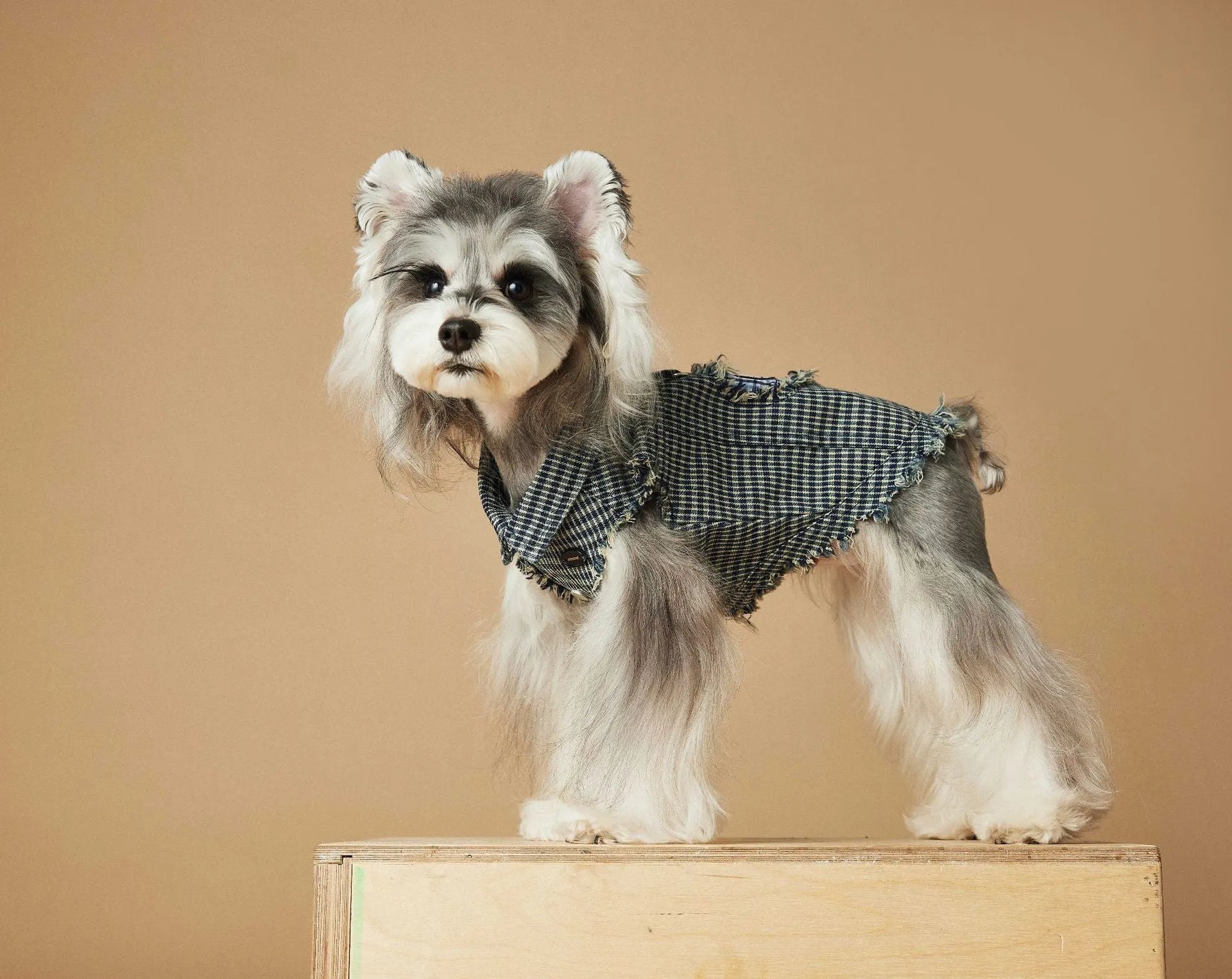Blue washed old plaid sleeveless denim vest for dogs cotton casual pet clothing