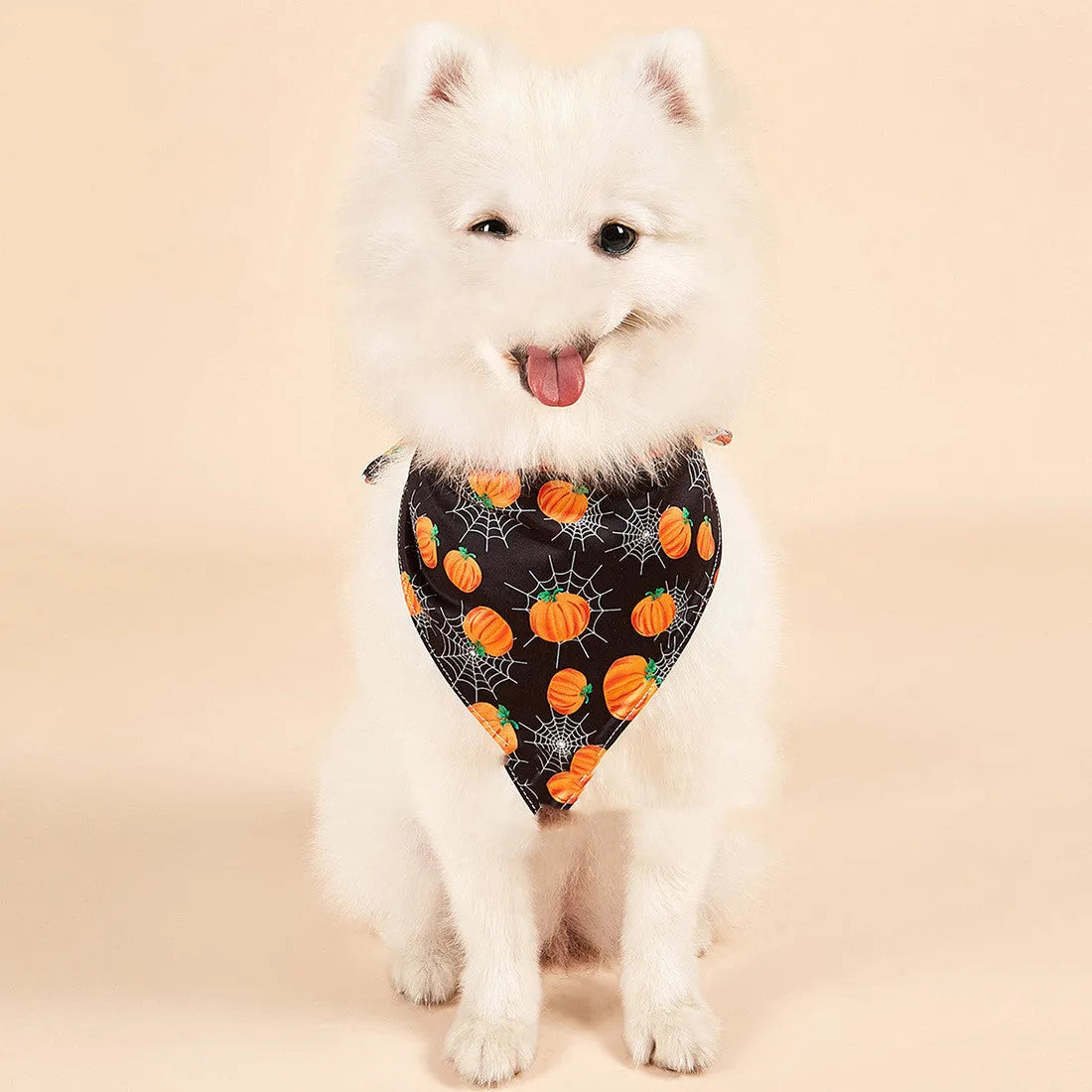 Halloween double-sided milk silk pet saliva towel with bat and spider web print